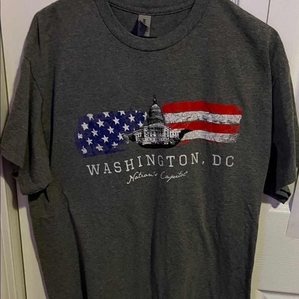 Gildan Gray Washington D.C. Flag Graphic Tee
